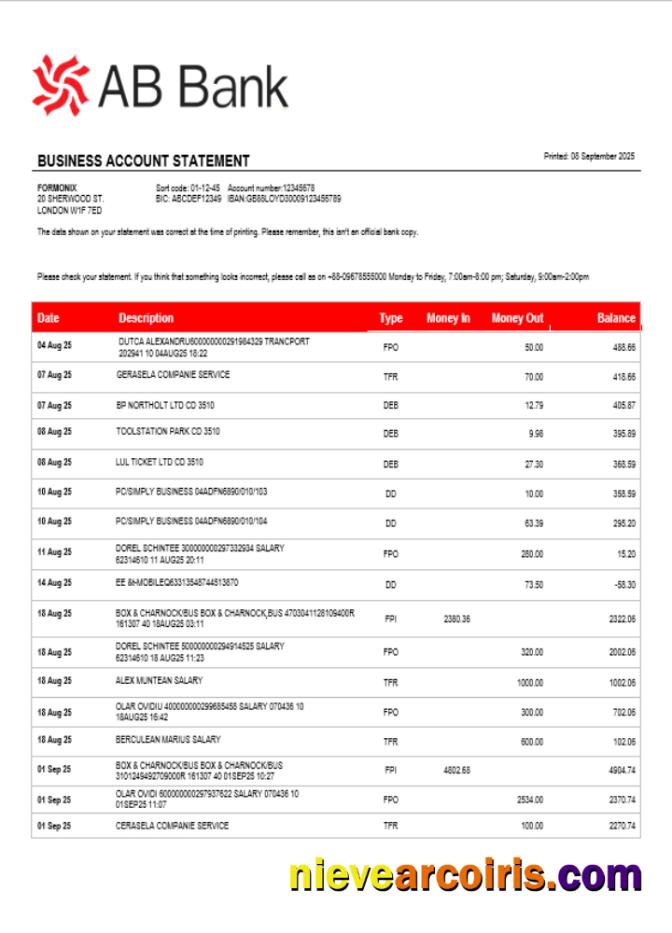 AB organization checking account statement